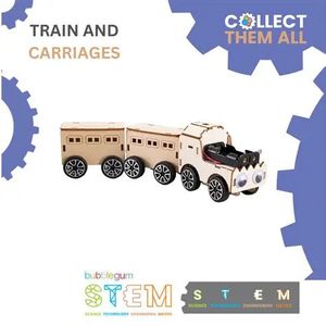 WOODEN STEM TRAIN